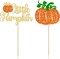 24Pcs Little Pumpkin Cupcake Toppers Glitter Baby Shower Fall Theme